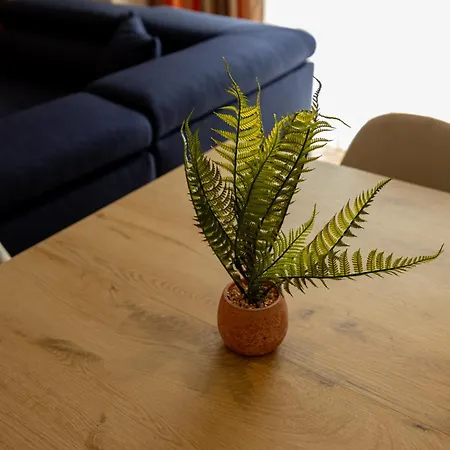 Infinity Apartamento *